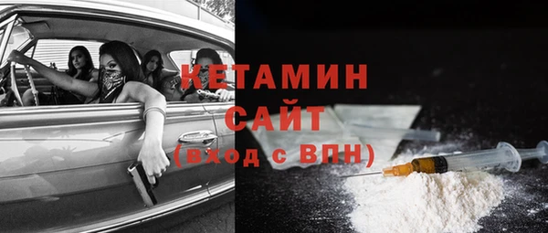 PSILOCYBIN Бородино