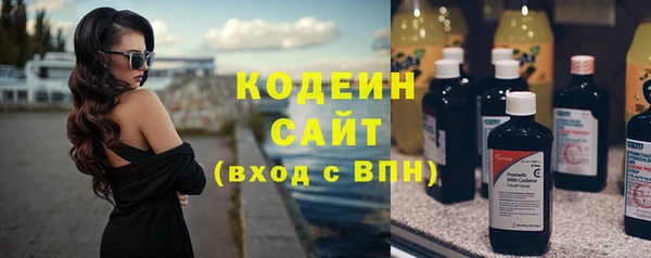 PSILOCYBIN Бородино