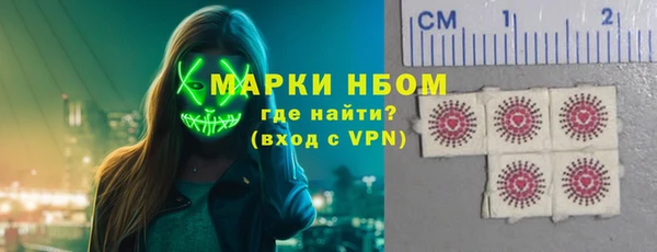 PSILOCYBIN Бородино