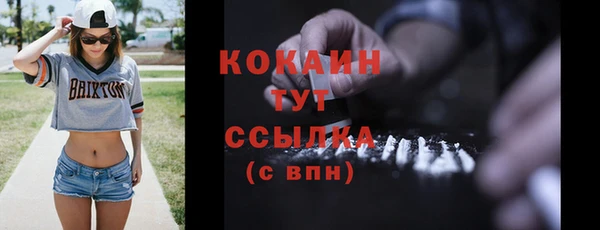 PSILOCYBIN Бородино
