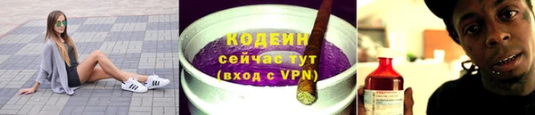 PSILOCYBIN Бородино
