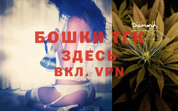 PSILOCYBIN Бородино