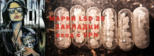 PSILOCYBIN Бородино