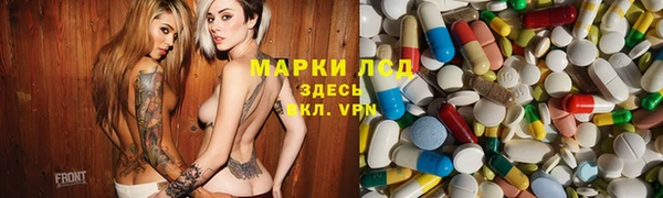 PSILOCYBIN Бородино