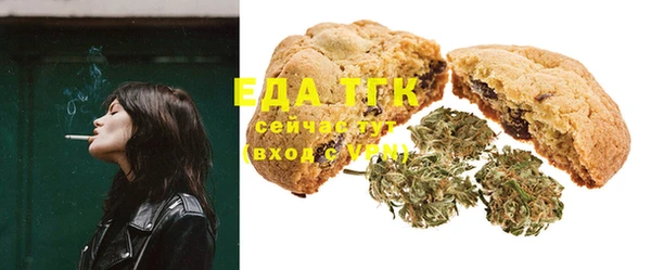 PSILOCYBIN Бородино