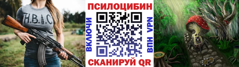 Псилоцибиновые грибы Cubensis  блэк спрут как войти  Новомичуринск 