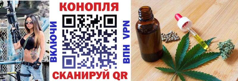 наркота  Новомичуринск  Канабис план 